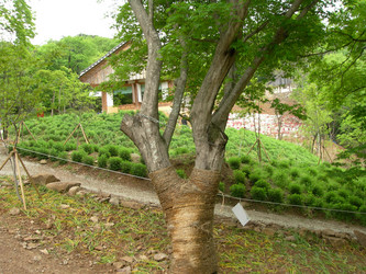 Similar image 22028675