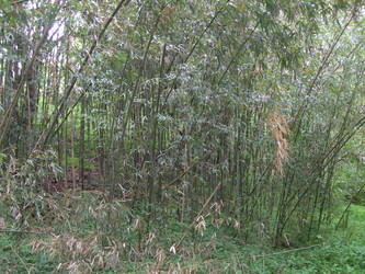 Similar image 22028679