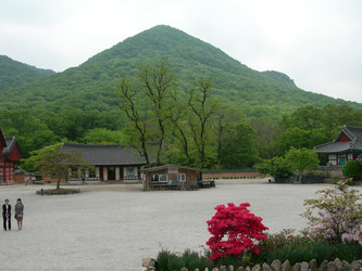 Similar image 22028688