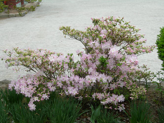 Similar image 22028951