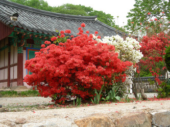 Similar image 22028952