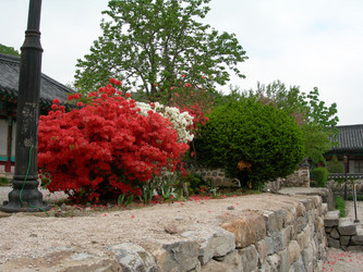 Similar image 22028953