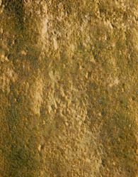 Similar image 22028588