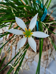 Similar image 22028593