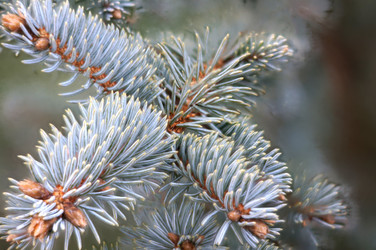 Similar image 22028594