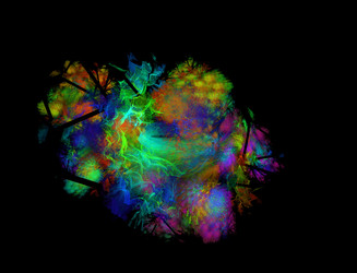 Similar image 22031029