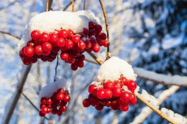 Similar image 22029186