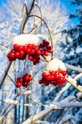 Similar image 22029195