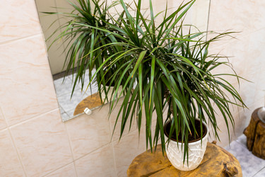 Similar image 22029197