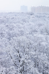 Similar image 22029202