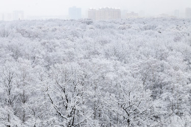 Similar image 22029218