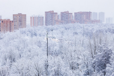 Similar image 22029219