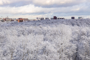 Similar image 22029220