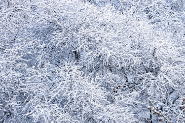 Similar image 22029221