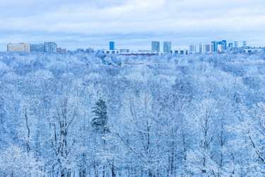 Similar image 22029223