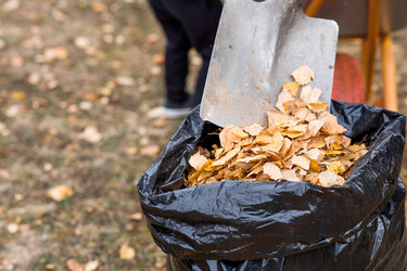 Similar image 22028691