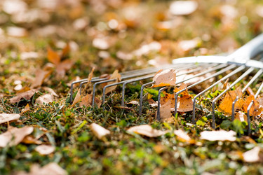 Similar image 22028693