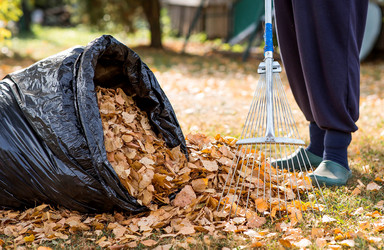 Similar image 22028694