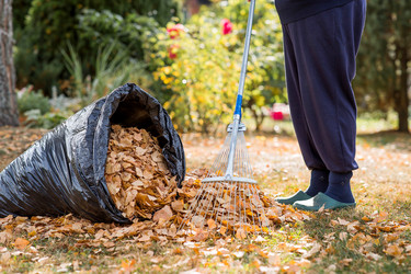 Similar image 22028697