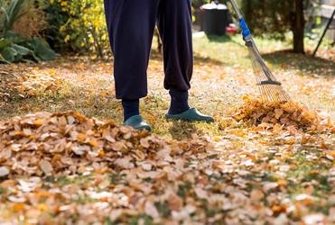 Similar image 22028705