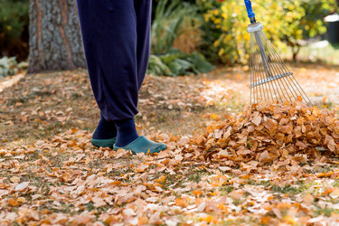 Similar image 22028708