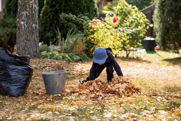 Similar image 22028711