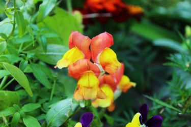 Similar image 22037946