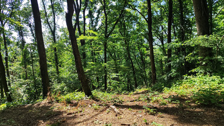 Similar image 22045708