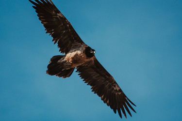 Similar image 22041374