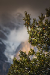 Similar image 22031839