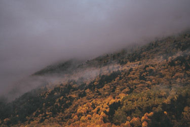 Similar image 22036792