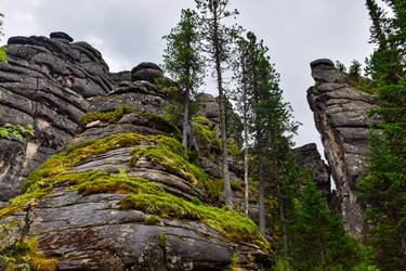 Similar image 22030803