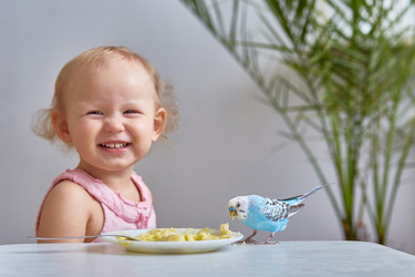 Similar image 22028986