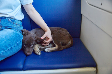 Similar image 22028998