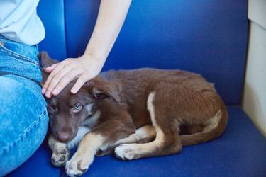 Similar image 22028999