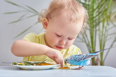 Similar image 22029000