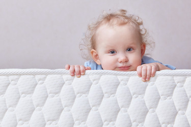 Similar image 22029026