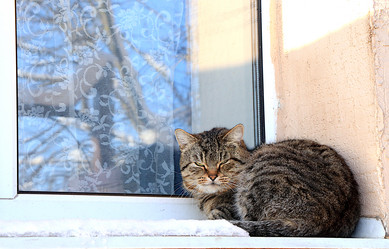 Similar image 22028601