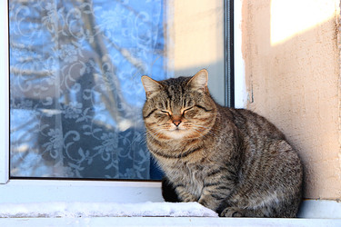 Similar image 22028602