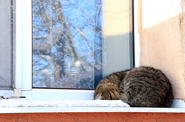 Similar image 22028603