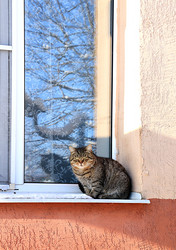 Similar image 22028604