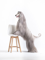 Similar image 22028605