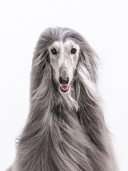 Similar image 22028607