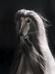 Similar image 22028608