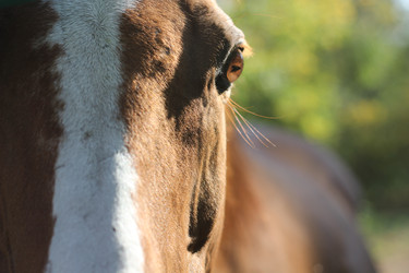 Similar image 22056991