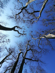 Similar image 22028613