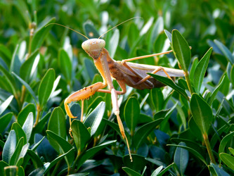 Similar image 22031949