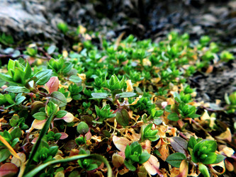 Similar image 22031950