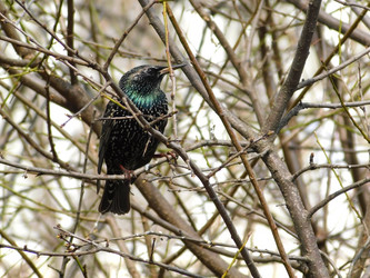 Similar image 22031951