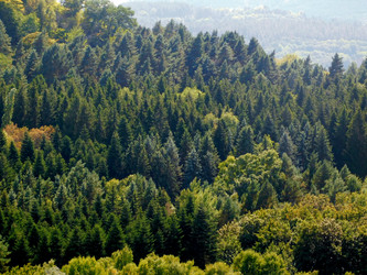 Similar image 22030767